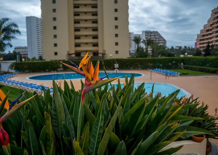 Апарт-отель Flor Da Rocha