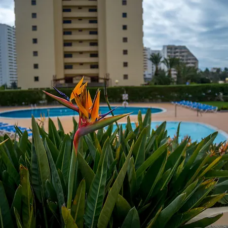 Apartahotel Flor Da Rocha